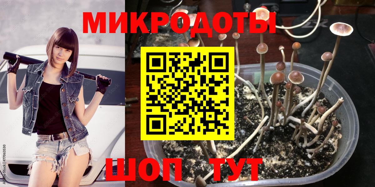 Псилоцибиновые грибы прущие грибы  Вход с VPN  Псилоцибиновые грибы ЛСД  Майский 