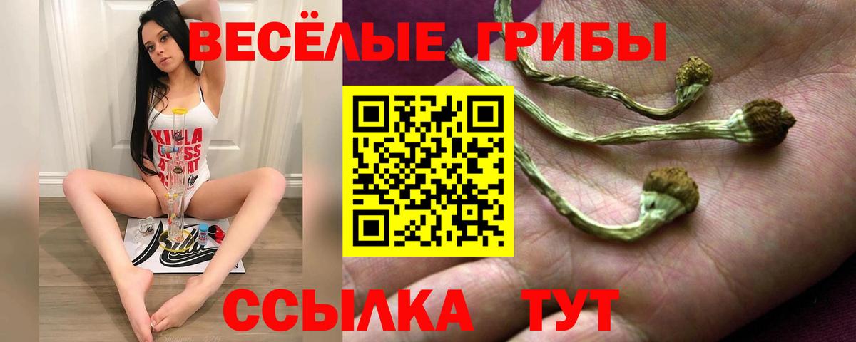 Псилоцибиновые грибы GOLDEN TEACHER Майский